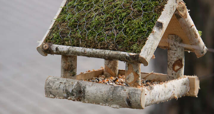 PATKAR Vogelhaus mit Moosdach